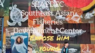 Aquatic Life in Southeast Asian Fisheries Development Center [SEAFDEC] | Philippine Provincial Life