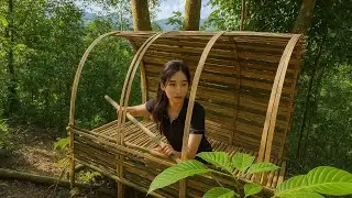 Building a Bamboo Survival Shelter | Off Grid Life in the Jungle