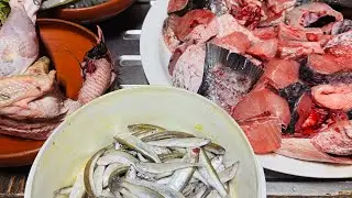 মধ‍্যেবিত্তশালী মানুষদের  একটু হিসাব করে চলতে হয়॥sabinasvlog12#viralvideo #viral #market #fish 