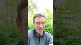 Thés Dansants à Canaples (80) tous les mercredis à partir du 12 juillet !