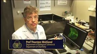 Surprising Science! ~ Frontiers in Bioimaging