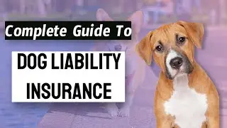 Complete Guide to Dog Liability Insurance | All the Details |