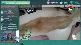 Crafts and chats (and cats)! | CC | 1/7/26