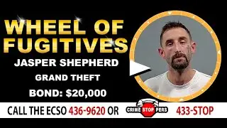 Wheel of Fugitives Episode 335 Jasper Shepherd
