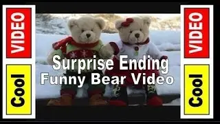 Two Bears At The Door -  Funny Unwanted Christmas Guests -  Funny Bear Video