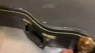 Hamer USA Guitar Case Fit