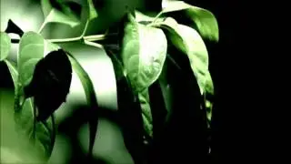 Clams Casino - The Fall (original mix) *MUSIC VIDEO*