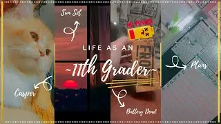 Life as an 11th grader l VET aspirant l New start l Aesthetic preparation