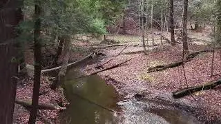 serene abandoned orchard on the Bruce trail in autumn with melodic piano