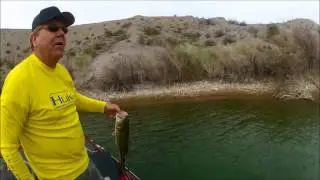 Fishing Lake Mohave - Catching Large & Smallmouth Bass