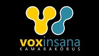 Horv&aacute;th M&aacute;rton Levente: Gyermek sz&uuml;let&eacute;k... - Vox Insana Kamarak&oacute;rus