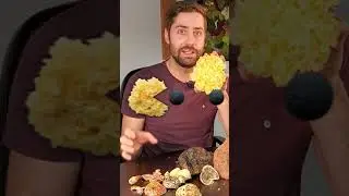 How do they grow Tremella mushroom?? It's Crazy! #shorts