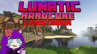 Minecraft Hardcore | Chill stream