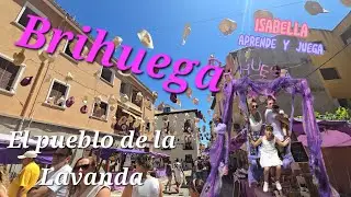 El pueblo de la Lavanda en españa Brihuega #guadalajara #brihuega #lavanda