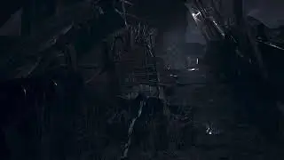 Resident evil challenge