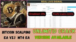 Bitcoin Scalping EA V2 1 📌 Category  MT4 EABitcoi