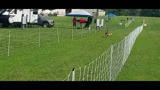 Max Fun Run