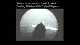Read the description