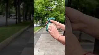 Picking up dog poop 🐶💩