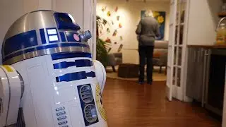 Burning Tigers Robotics Uses DipJar to Make Up for Lost Funding