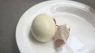 Inner translucent white membrane lining the egg shell is healthy containing collagen. Boiled egg .