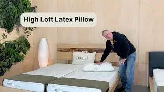 Fawcett High Loft Latex Pillow