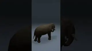 Слон в Blender 3D / 3Д / анимация / elephant / modeling / модель / блендер