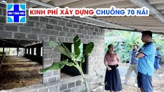 Trại 70 nái đầu tư hết bao nhiêu tiền?