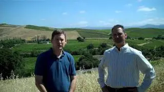 Welcome to Artesa Vineyards & Winery!