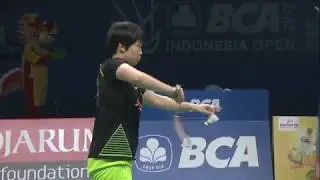 BCA Indonesia Open 2017 | Badminton F M5-XD | Zheng/Chen vs Ahm/Nat