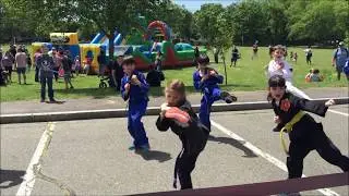 North Reading Town Day Demo