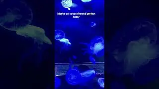Ocean Theme Crafts 🌊🐚🐟#crafts #ocean #jellyfish #marinelife #saltlife #shorts #viralshort #ideas