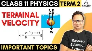 Terminal Velocity Class 11 Physics Term 2 Important Topics For Final Exams