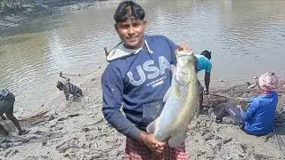 পুকুরে জাল টেনে অনেক ভেটকি মাছ ধরলাম।net fishing ।।