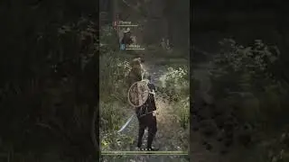 Golden Trove Beetle 9 (Read Description) | Dragon's Dogma 2