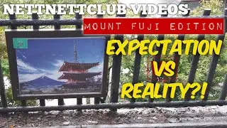 Best spot to view Mount Fuji!