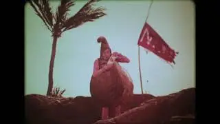 Fig Newtons - Island - 1960s Nabisco TV Commercial