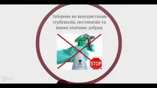 Екологічні продукти
