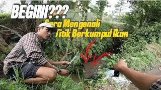 MARI KENALI TITIK-TITIK POTENSIAL IKAN💥