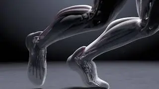 ELEM The Virtual Humans Factory