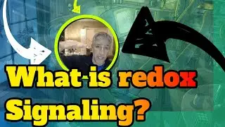 What is redox signaling? Cliff notes version