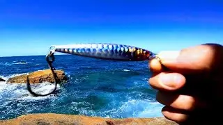 GT PACK ATTACK awesome footage must watch