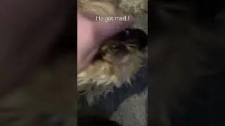 He got so mad🤣