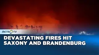 East Germany's Largest Forest Fire Finally Extinguished
