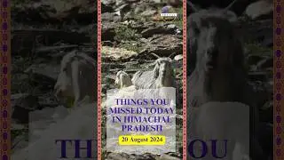 Did You know what happened in #Himachal Pradesh #news #himachalnews #newsshorts