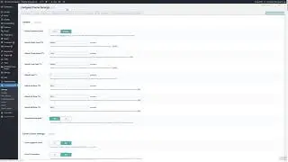 Litespeed Cache and Google CDN issue