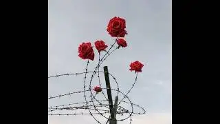 [ FREE ] Double Bass Trap Rnb Type Beat 