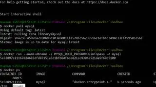 Installing phpmyadmin in Docker
