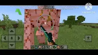 Many irongolem vs pillager and many iron golem vs RAVAGER