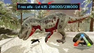 REX ALFA nível 